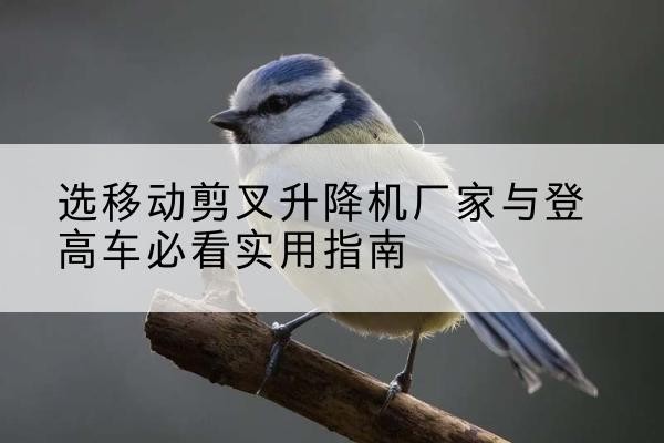 彭水电动升降机厂家-选移动剪叉升降机厂家与登高车必看实用指南