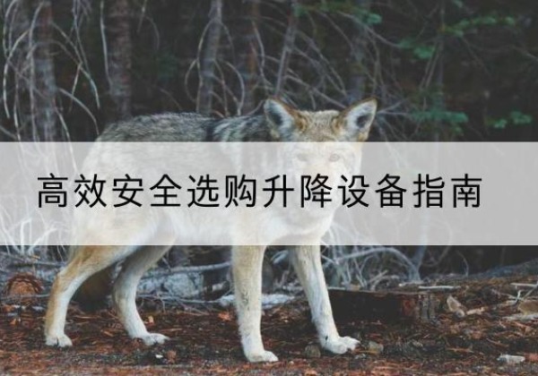 彭水升降货梯厂家推荐-*安全选购升降设备指南