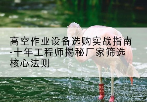 彭水剪叉式升降机厂家-高空作业设备选购实战指南-十年工程师揭秘厂家筛选核心法则